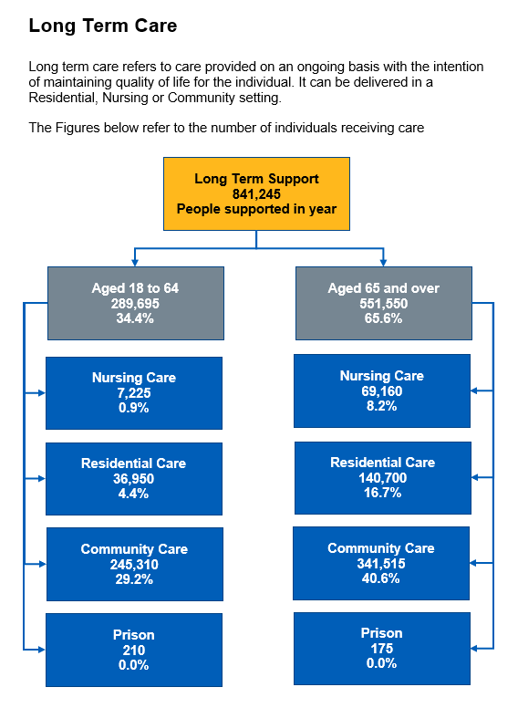 Flow chart showing the number of individuals receiving Long term care in the year by support setting