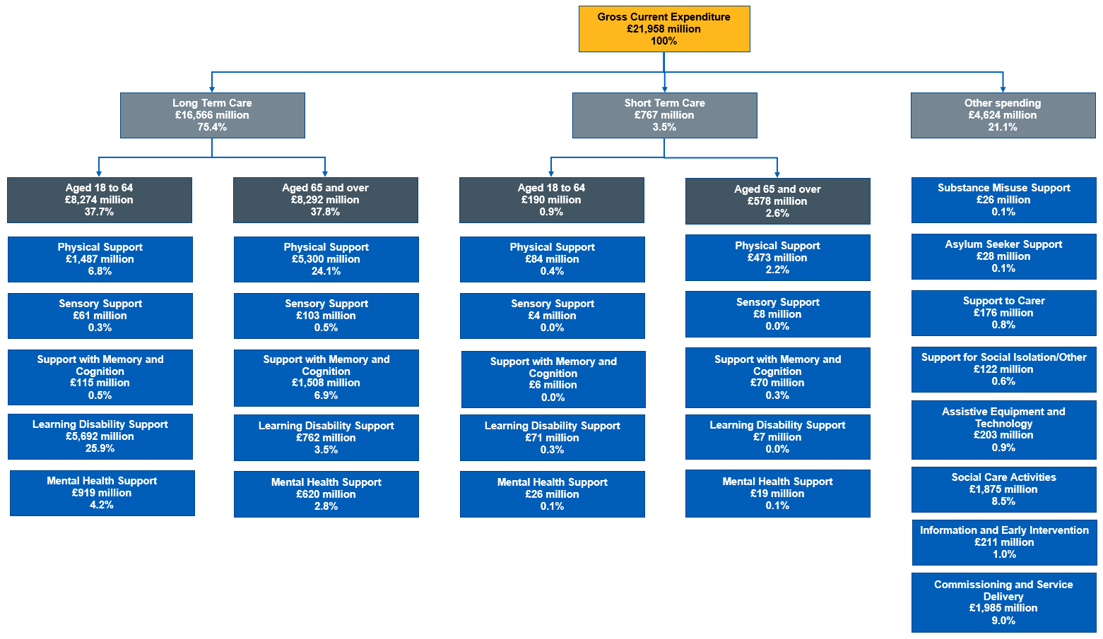 Flow chart showing gross current expenditure split by, care type, age and support type