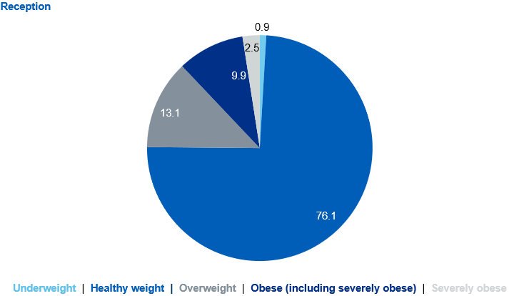 Pie charts showing prevalence of the BMI classifications for reception children