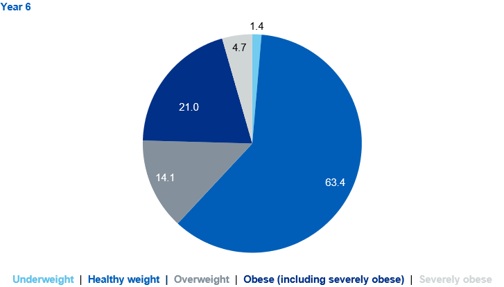 Pie charts showing prevalence of the BMI classifications for year 6 children