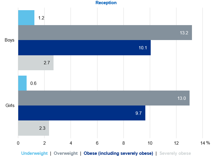Bar chart showing prevalence of the BMI classifications for reception children by sex