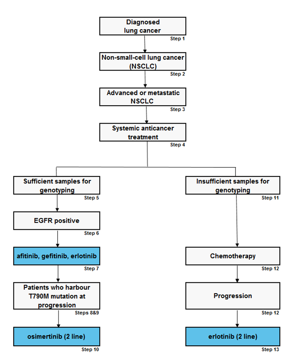 Non-small-cell lung cancer: afatinib, erlotinib, gefitinib and osimertinib