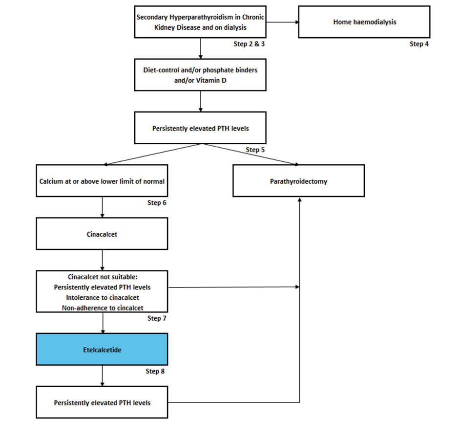 Secondary hyperparathyroidism: etelcalcetide