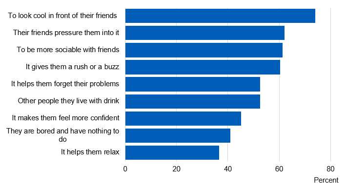 Image showing beliefs about why people of pupil’s age drink alcohol