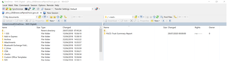 Screenshot of local drive