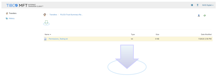 Screenshot of PLICS trust summary transfer