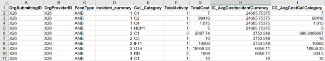 Screen shot of the PLICS Amb summary report