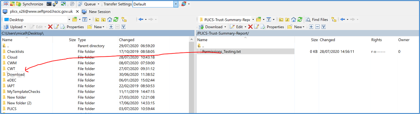 desktop screen with c: drive folders displayed on left hand side and download folder highlighted and PLICS trust summary report displayed on the right hand side of the screen.