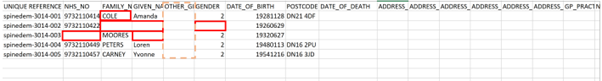 Example of template Excel file with 5 fields highlighted