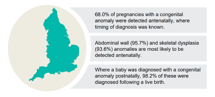 Screenshot of congenital anomaly statistics
