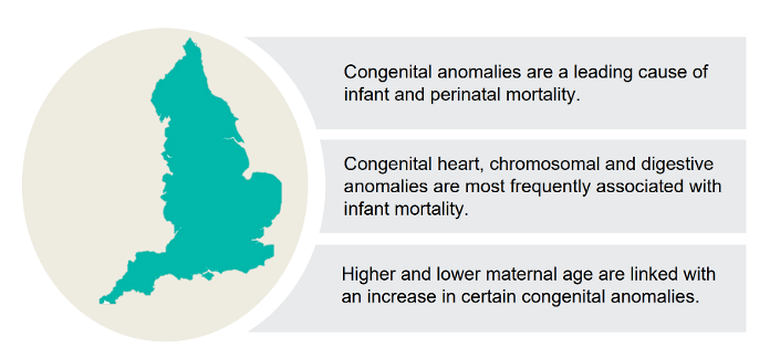 Example of congenital anomaly statistics