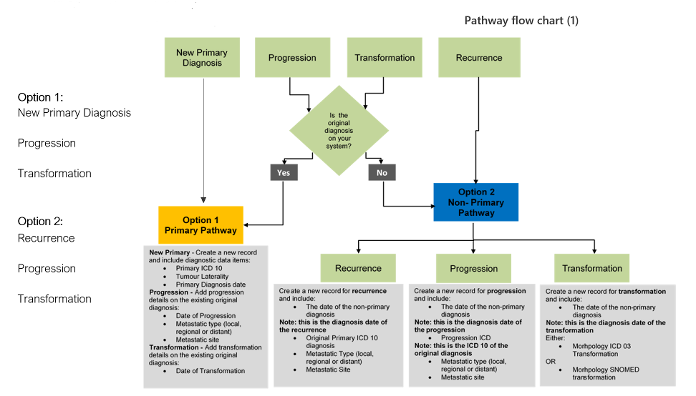Screenshot of pathway flows for new primary, recurrences, progressions or transformations