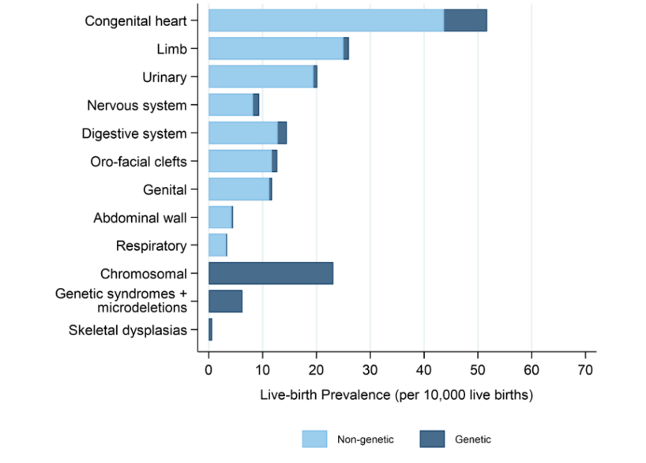 Screenshot of number of babies diagnosed with each congenital anomaly per 10,000 live births by congenital anomaly subgroup in England 2019