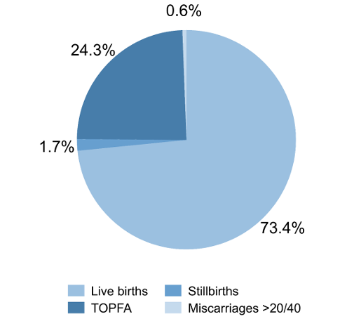 Example of percentage of babies with one or more reported congenital anomalies by outcome of pregnancy in England 2019