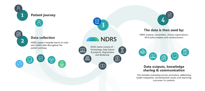 Screenshot of data flows from the NHS through the NDRS registration process.