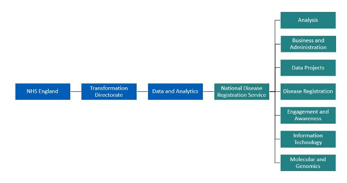 Example of the NHS England and NDRS team structure