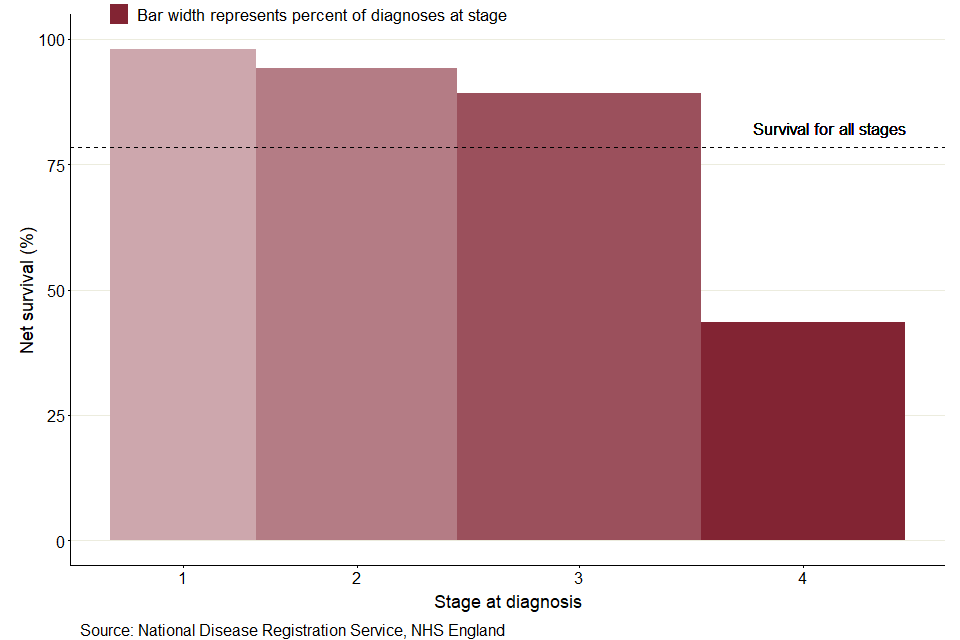 A bar chart of 1-year survival for bowel cancer split by stage at diagnosis, with a dotted line to show value for stages combined. The width of the bars represent the percentage of patients diagnoses in each stage. Stage 3 has the largest proportion of patients and stage 4 the lowest 1-year survival, whereas stage 1 has the lowest proportion of patients and the highest 1-year survival.